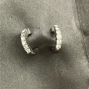 Elegant Silver Hoop Earrings